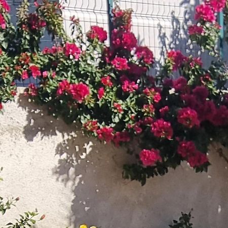Vila Megi-Rent Room Vlorë Esterno foto
