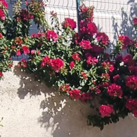Vila Megi-Rent Room Vlorë Esterno foto