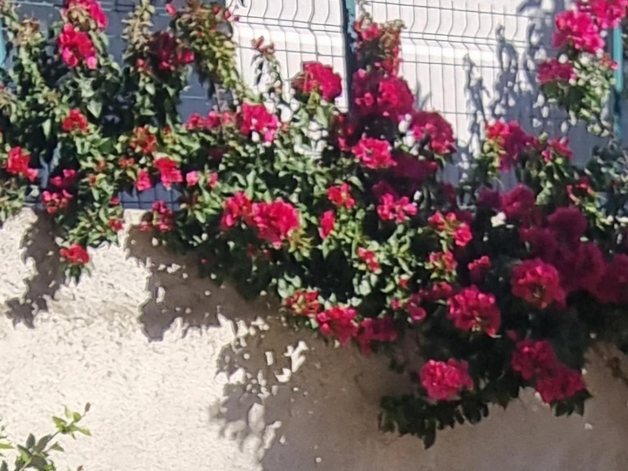 Vila Megi-Rent Room Vlorë Esterno foto