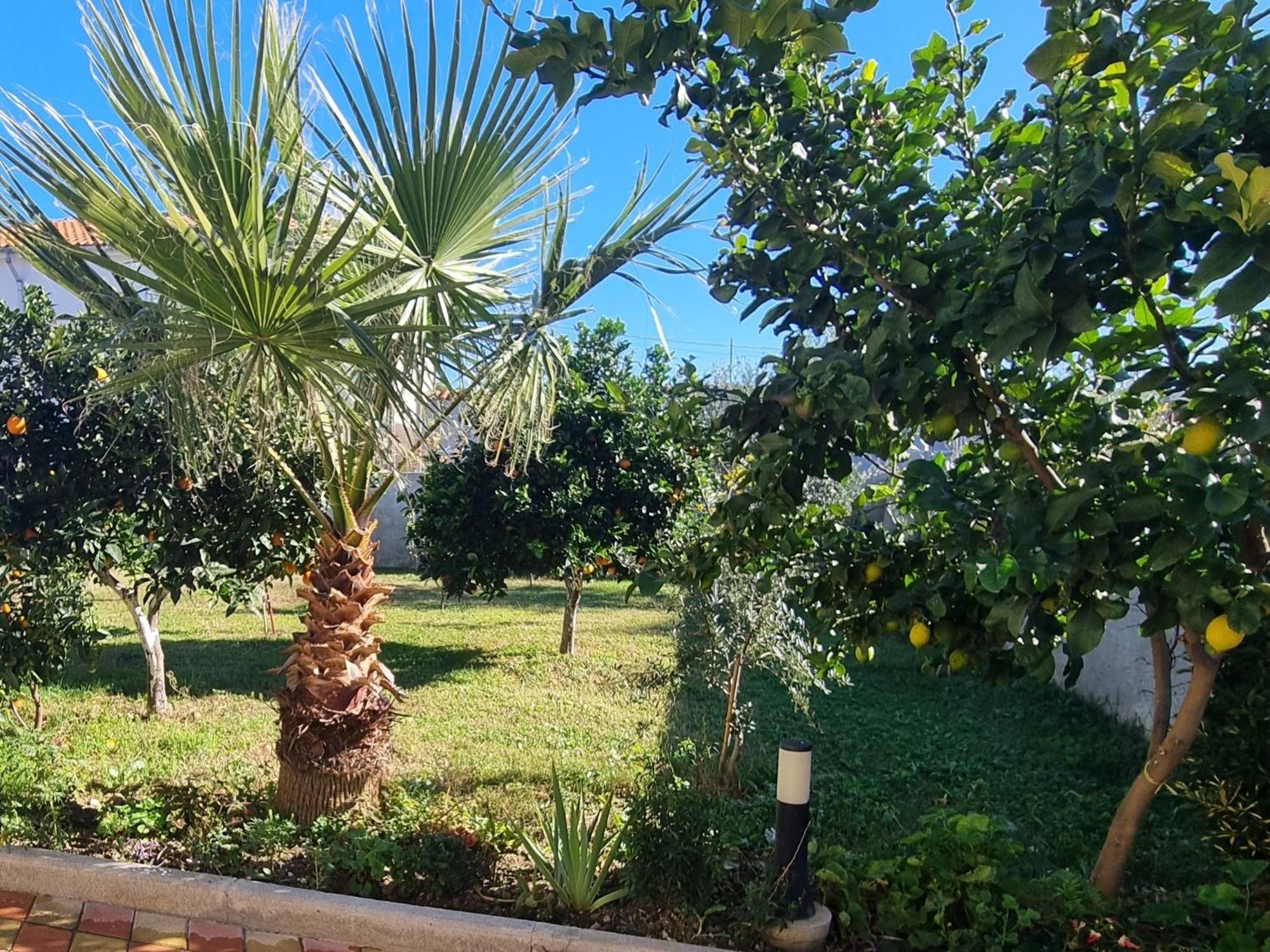 Vila Megi-Rent Room Vlorë Esterno foto